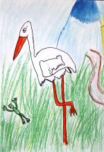 Ružičková Michaela.jpg